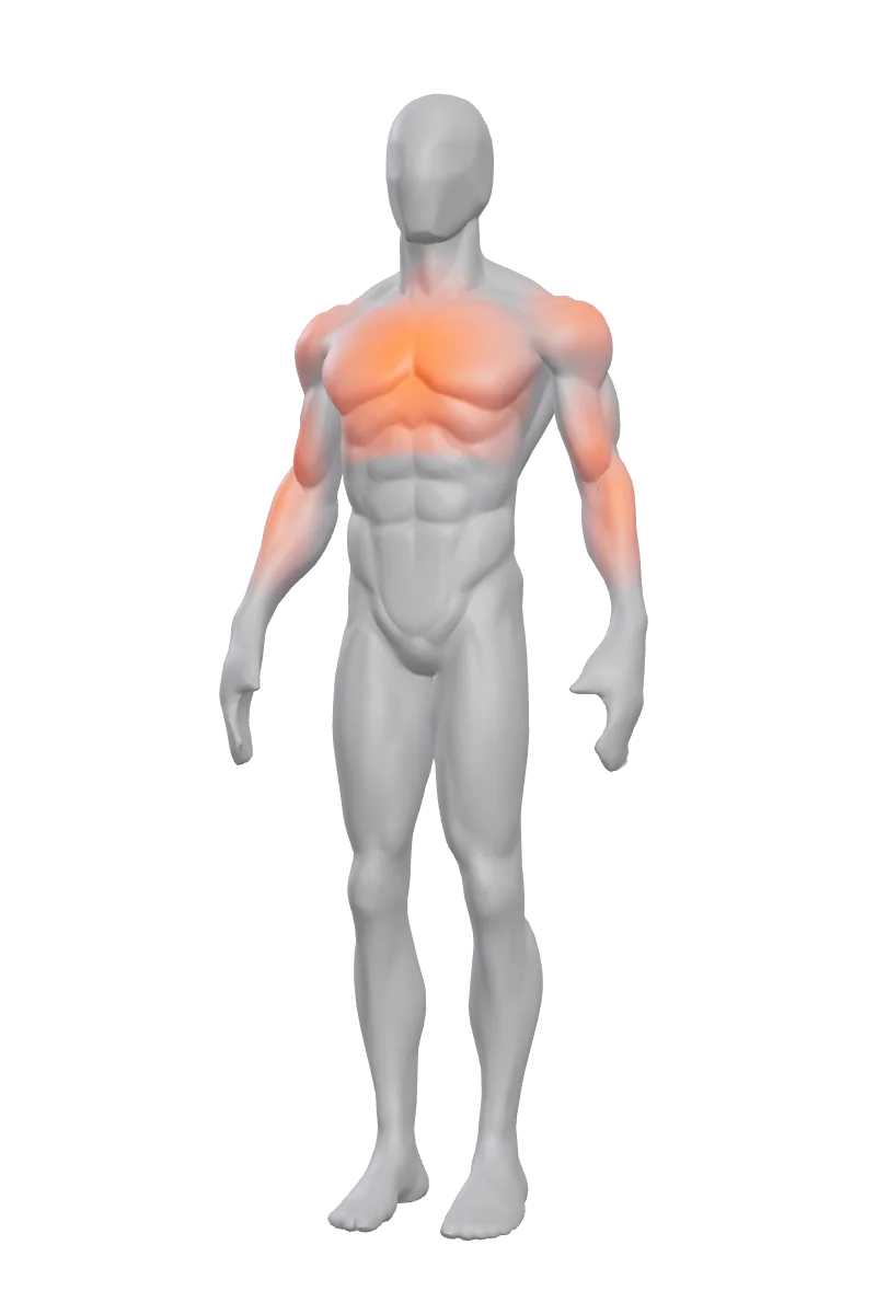 3D body map glowing at the muscles worked in a recent session, cooling down over the following hours